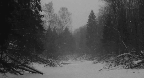 forest,darkness,depressive,nature,black and white,wood,dark,bw,snow,winter,trees,road