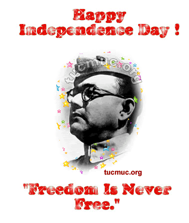happy independence day,independence,graphics,images,day,pictures,comments