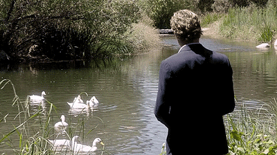 lake,patrick jane,fandom,not my,ducks,the mentalist,simon baker