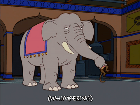 It s an elephant. Слоны в мультфильмах. Игра "слон".