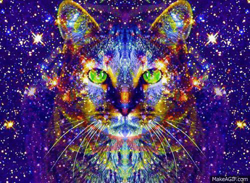 cat,space,flashy