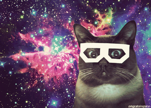 cat,space,glasses,galaxy