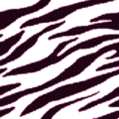 blink,zebra,colors,tiger,art design