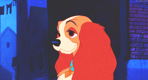 lady and the tramp,dog,disney