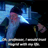 dumbledore,harry potter