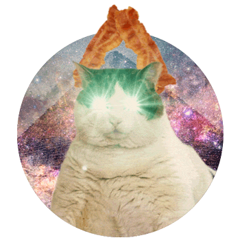 cat,transparent,space,internet,fat,meow,laser,bacon,laser beam,terrible mashup