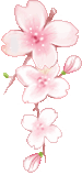 flowers,flower,pink,cherry blossom,pretty,sparkling,transparent,japanese,girly,cher,japan,grunge