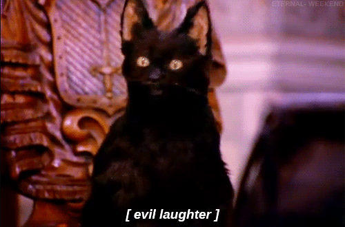 evil laugh,black cat,sabrina,sabrina the teenage witch