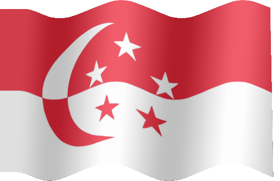 flag,singapore,moon,design,star,stars,waving