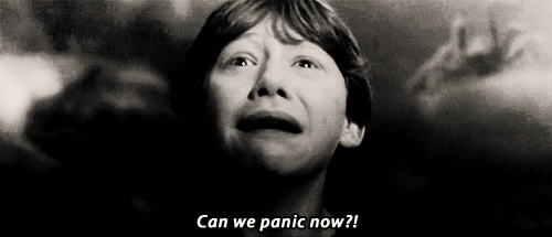 panic,ron weasley,harry potter,funny,epic,so true
