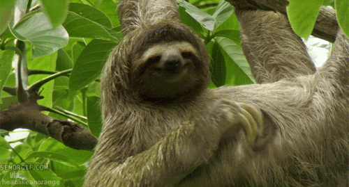 sloths,creepy,line