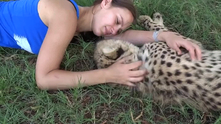 friendship,cheetah,girl