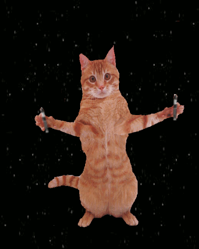 Танцующие котики гиф. Танцующий кот. Кот танцует. Танцующая кошка. Кот пляшет.