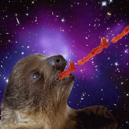 cheetos,hot,space,fire,cannon,sloths