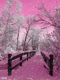 snow,wallpapers,falling,photos,pictures,fox lake il