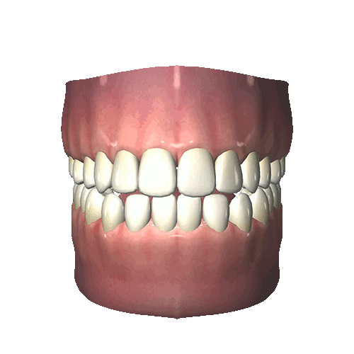 teeth,3d,transparent,transparency