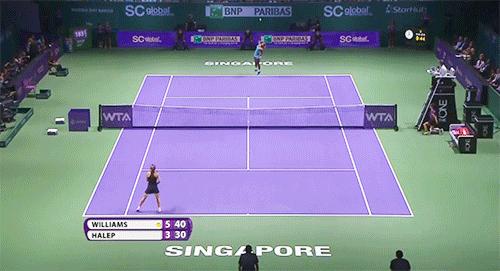 singapore,tennis,serena williams,wta,simona halep,wta finals,my tennis s