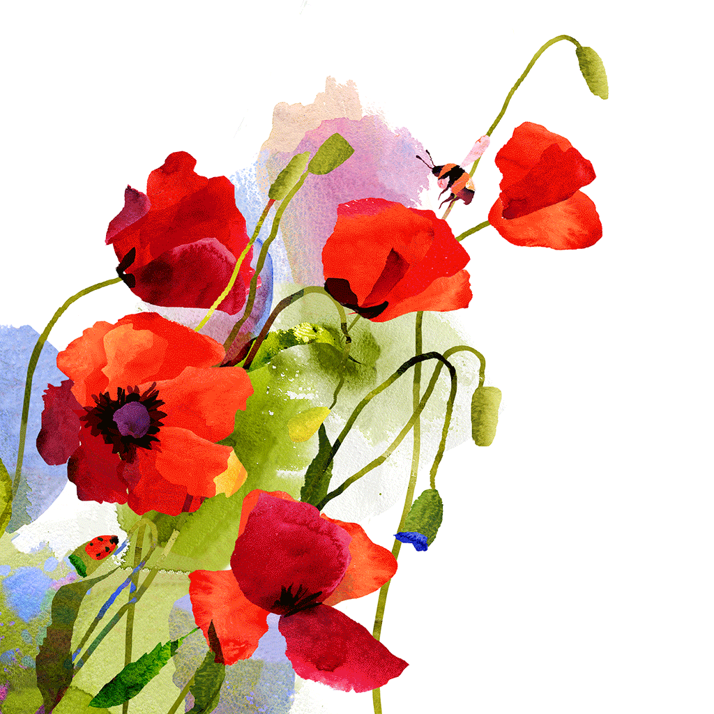 Анимационная картинка цветов