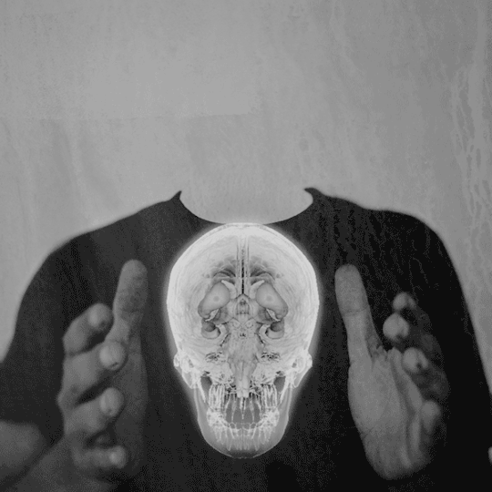 black and white,loop,head,skeleton,self portrait