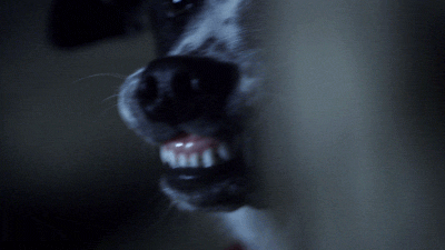 dog,scared,syfy,teeth,ghosts,paranormal witness