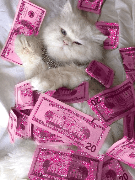 make it rain,cat,money