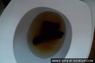 Poop GIF.