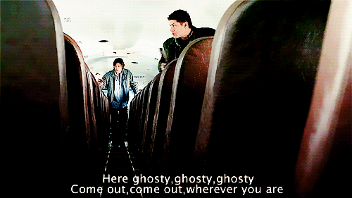 ghost,fantasy,winchester brothers,supernatural,vampire,dean winchester,jensen ackles,spn,witch,jared padalecki,sam winchester,brother,demon,paranormal,creature,demons,brotherhood,sam and dean,dean and sam