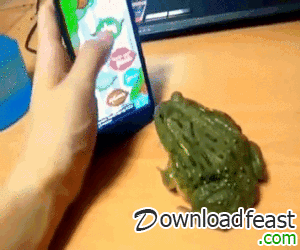 funny,hahaha,funny animals,lol,funny people,most funny,funny fails,funny accidents,funny frog,funny bite,best