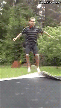 dog,fail,trampoline