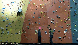 climbing,sports,fail,fall,ouch,rope