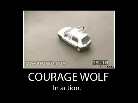 courage,wolf,action