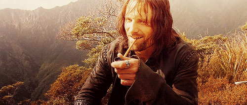 The lord of the rings aragorn fellowship of the ring GIF.
