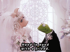 kermit the frog,kermit and piggy,the muppets,miss piggy,the muppets take manhattan,muppet s