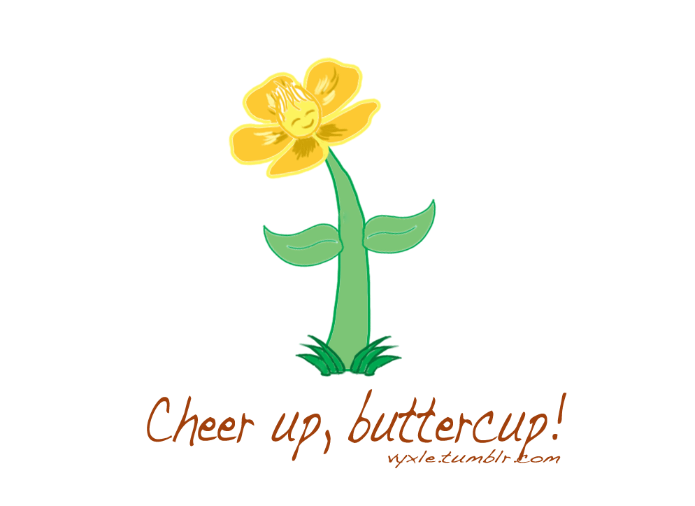 Cheer up. To Cheer up. [Cheer up][Cheer up]. Баттеркап Хилл цветы. Buttercup перевод