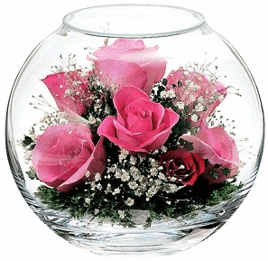 roses,flowers,glitter,transparent