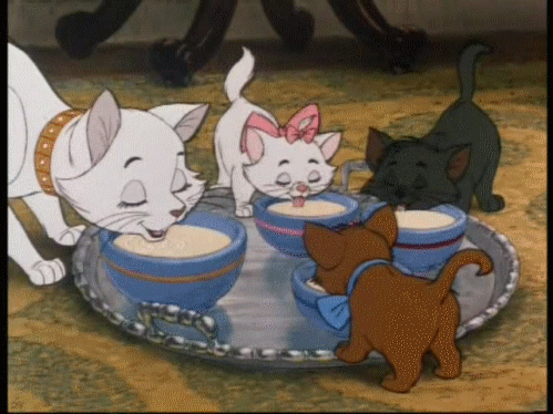 the aristocats,milk,cats,drinking