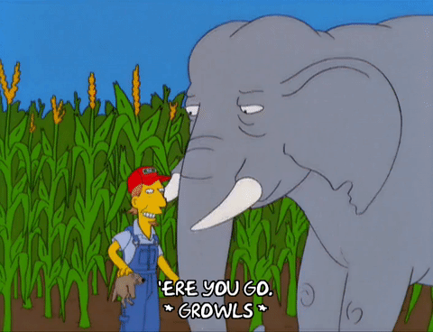 Слон и свинья. Слоник gif. Счастливый Слоненок. Слон анимация.