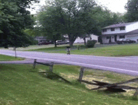 fence,funny,lol,fail,ouch,scooter,afv