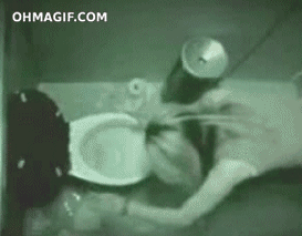 funny,falling,drunk,toilet,hilarious,dog,girl,animals,water,taste,watches girl smack face into toilet