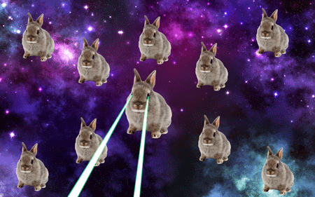 space,bunnies