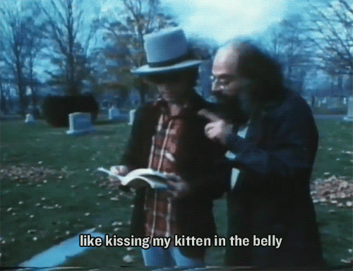 belly,bob dylan,kitten,70s,poetry,graveyard,1975,allen ginsberg,jack kerouac