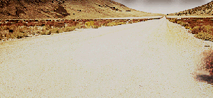 tumbleweed,empty,tumbleweeds,barren,ghost town,lonesome,desierto,lonely,dreary,reactions,bare,desolate,bleak