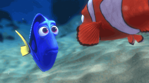 dory,silly,finding dory,disney,oh,every,expression,situation