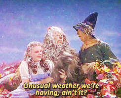 wizard of oz,scarecrow,dorothy gale,cowardly lion