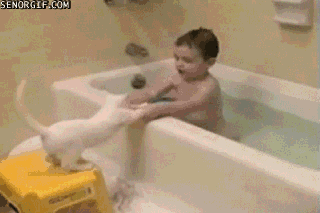 kids,bath,cat,weird