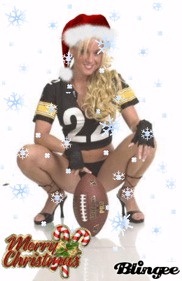 steelers,merry,christmas,picture