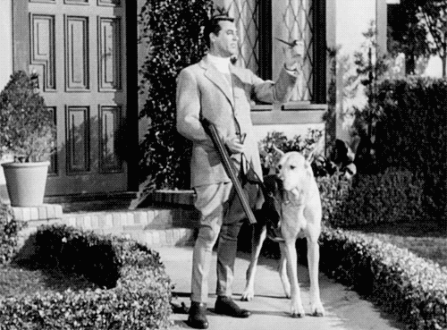cary grant,maudit,cary grant poses for ralph lauren add,hc potter,mr blandings builds his dream house