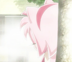 amy rose,sonic,sonic x,sonic the hedgehog,sonic and amy,sonic ending