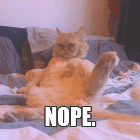 Animated GIF: cat nope.