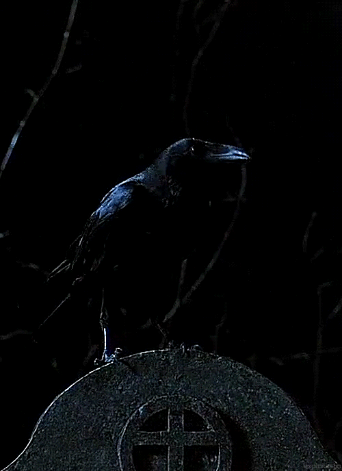the crow,crow,film